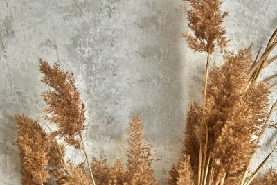 4 tips voor een bohemian interieur