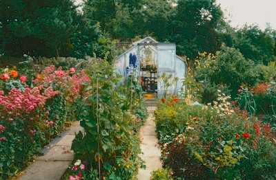 Waarom iedereen nu een cottagetuin wil