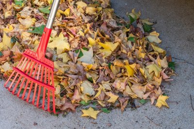 Dit is de beste maand om je tuin winterklaar te maken